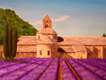 Campo di lavanda