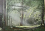 Foresta