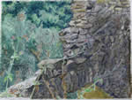 Muro