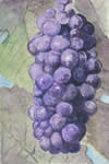 Uva nera