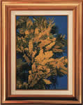 Ramo di mimosa