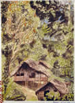Foresta