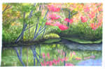 Riflessi