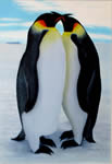Pinguini