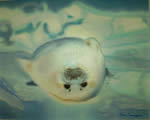 Slittino