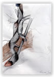 Disegno di Ines Lesma