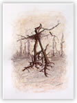 Disegno di Marisa